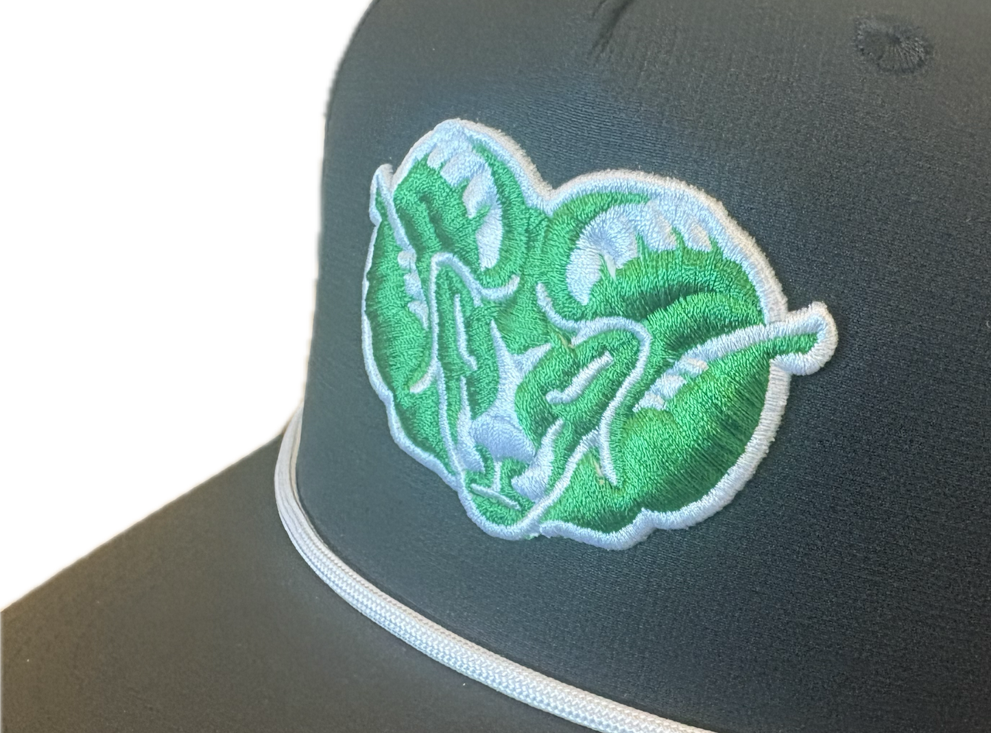 Rams 3D/Puff Embordered Rope Snapback Hats